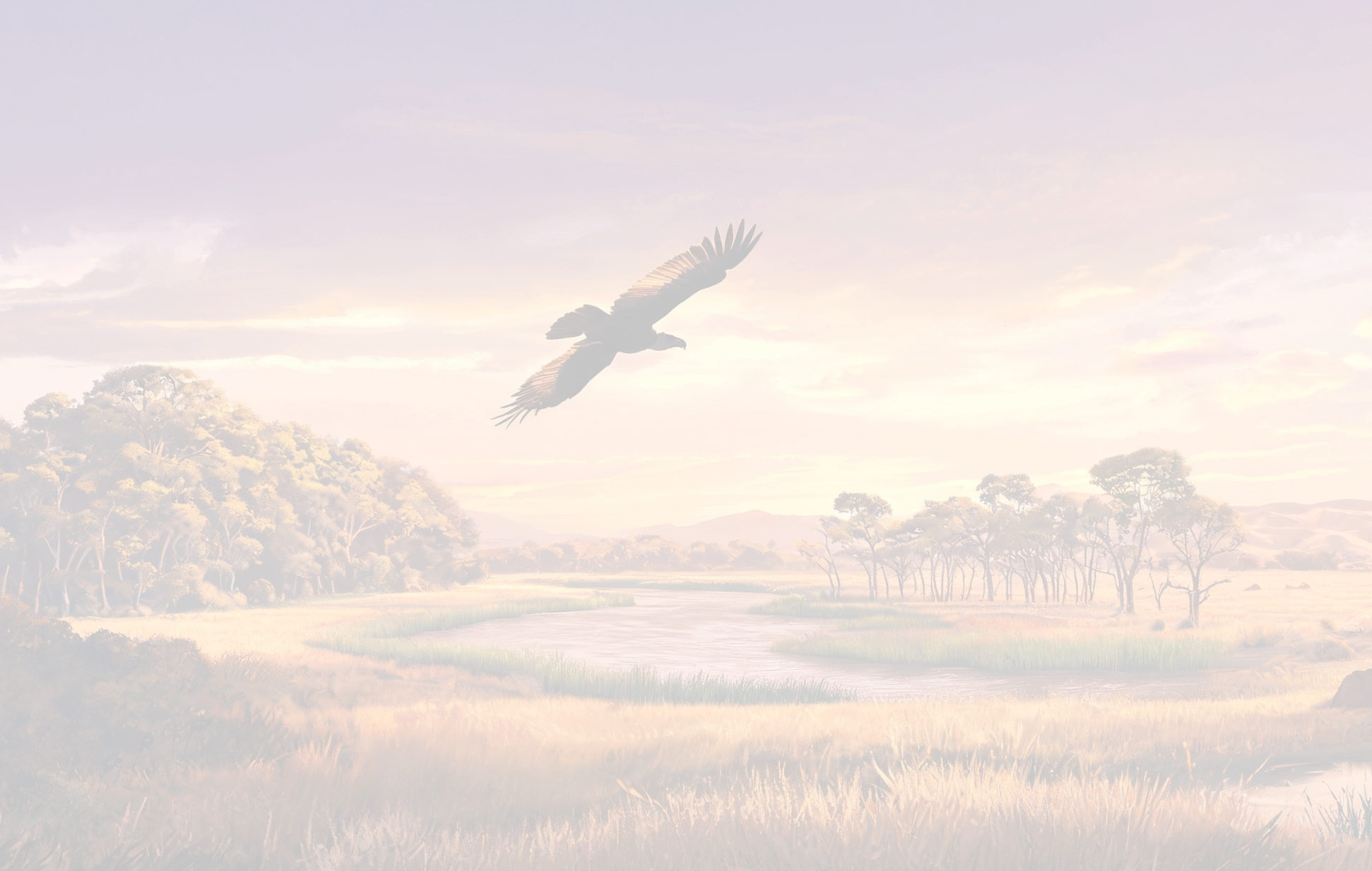 Indian grassland at sunset