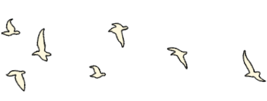 Flying birds