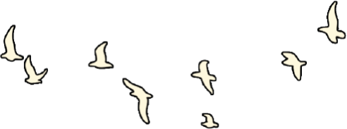 Flying birds